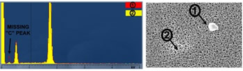 sem-eds_fig6_s