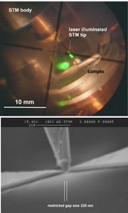 stm-sem_fig1_s