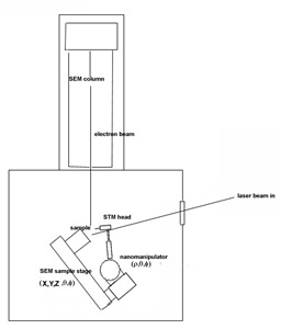 stm-sem_fig2_schema-sem_s